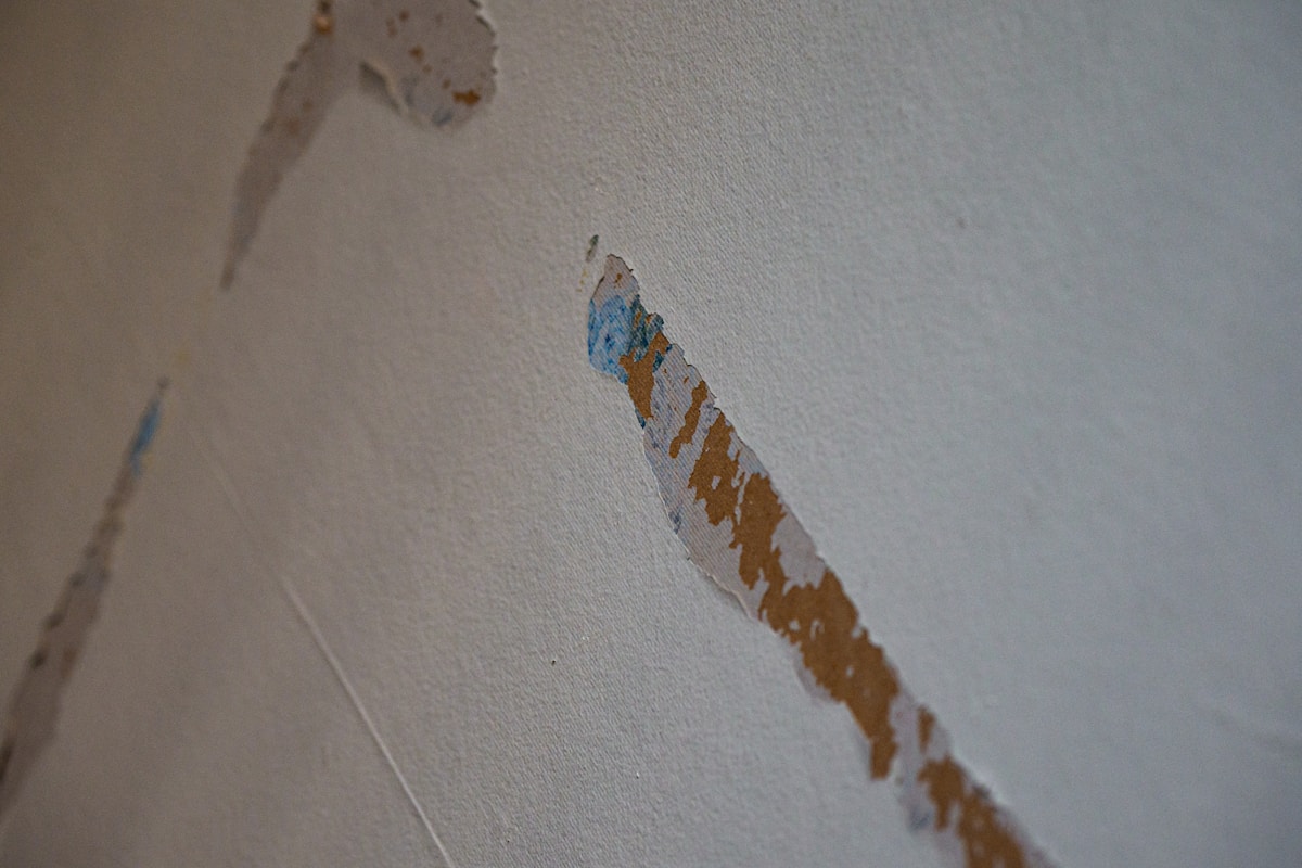 Storm Damage Repair service in Sumter, SC